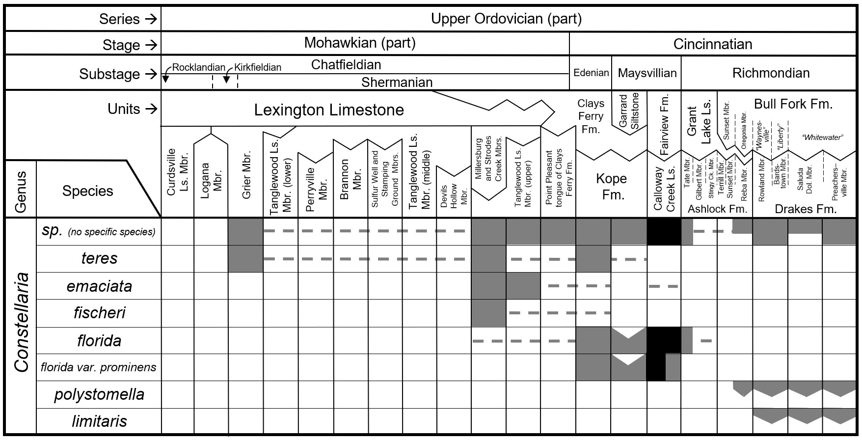Chart of Constellaria species found in central Kentucky.